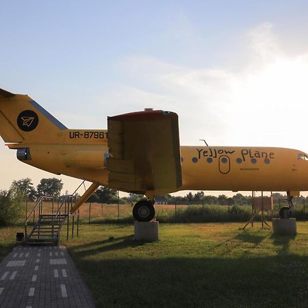 Yellow Plane Yurov Dış mekan fotoğraf